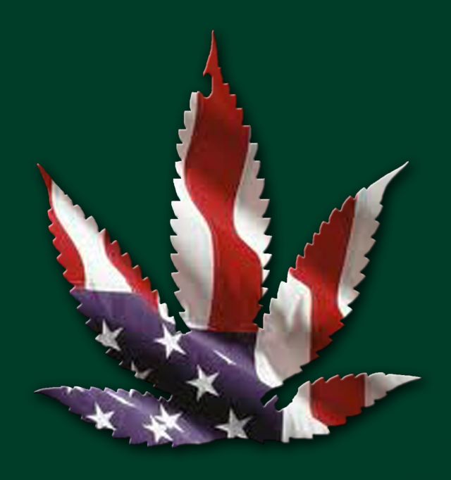 Hemp the Wonder Plant